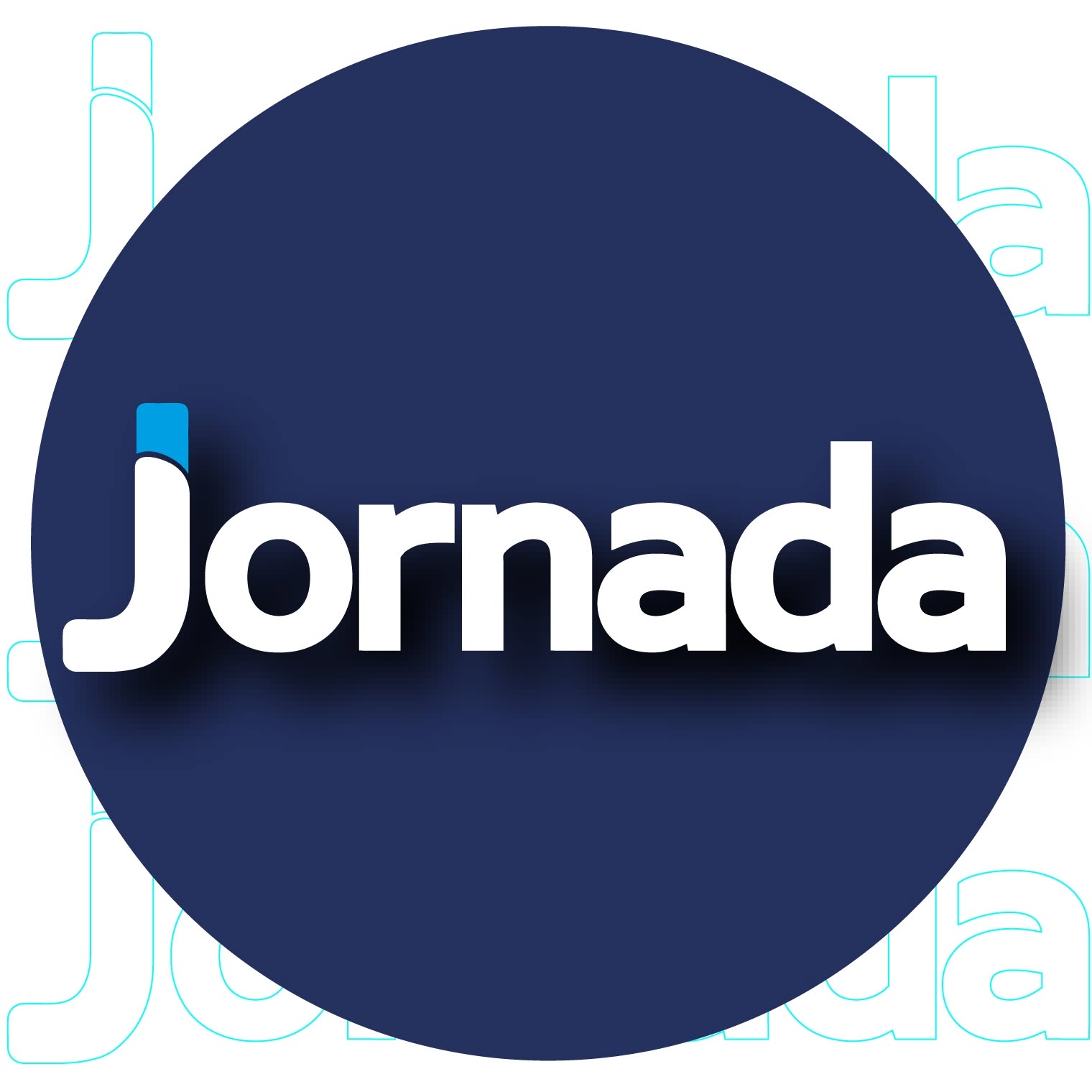 Diario Jornada